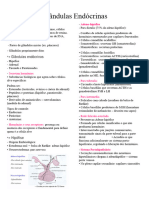 3 Glândulas Endócrinas - ORGANOLOGIA