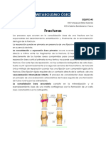 Resumen Metabolismo Óseo