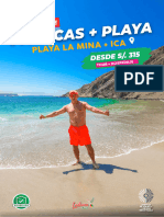 2D1N Playa La Mina + Ica 2024