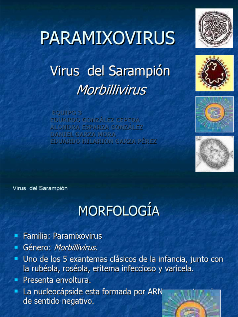 Sarampion Pdf Sarampión Virus