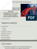 05 - Ciclo Cardíaco Energética de Sístole Energética de Fluxo, Microcirculação e Circulação Linfática 2022.2