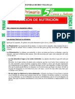 Funcin de NutriciOn para Quinto de Primaria