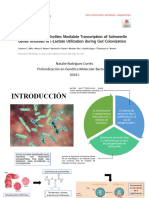 Modulacion de La Transcripcion Por Operon Operón LLDPRD y L-Lactato