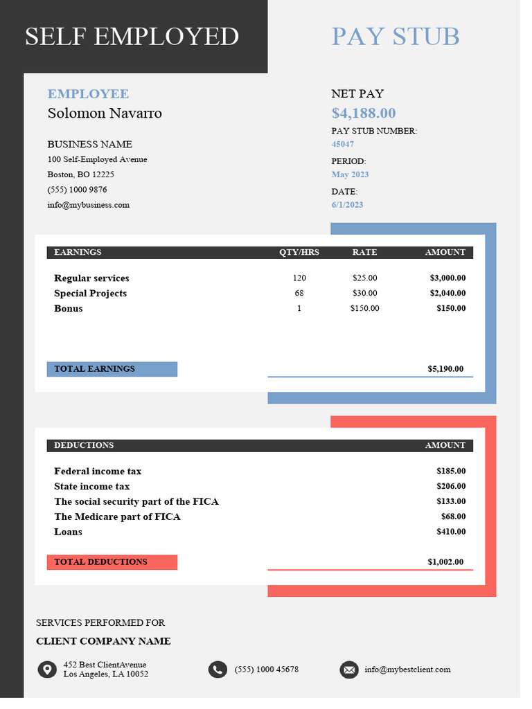 Self Employed Pay Stub Template | PDF