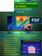 Oncogenes y Genes Supresores de Tumor