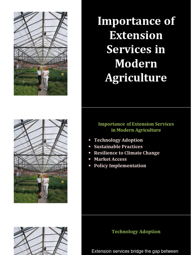 Role of Extension Services in Agriculture | PDF | Sustainable ...