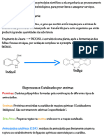 Estudo de Enzimas