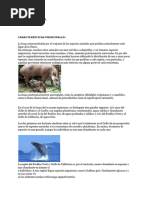 Flora y Fauna de Oaxaca | PDF