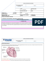 Planeamiento Revascularizacion