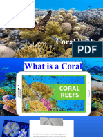 Coastal Reef