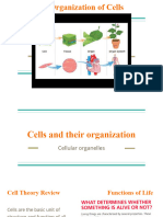 Organization of Cells