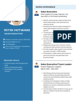 Blue Light Blue Color Blocks Flight Attendant CV