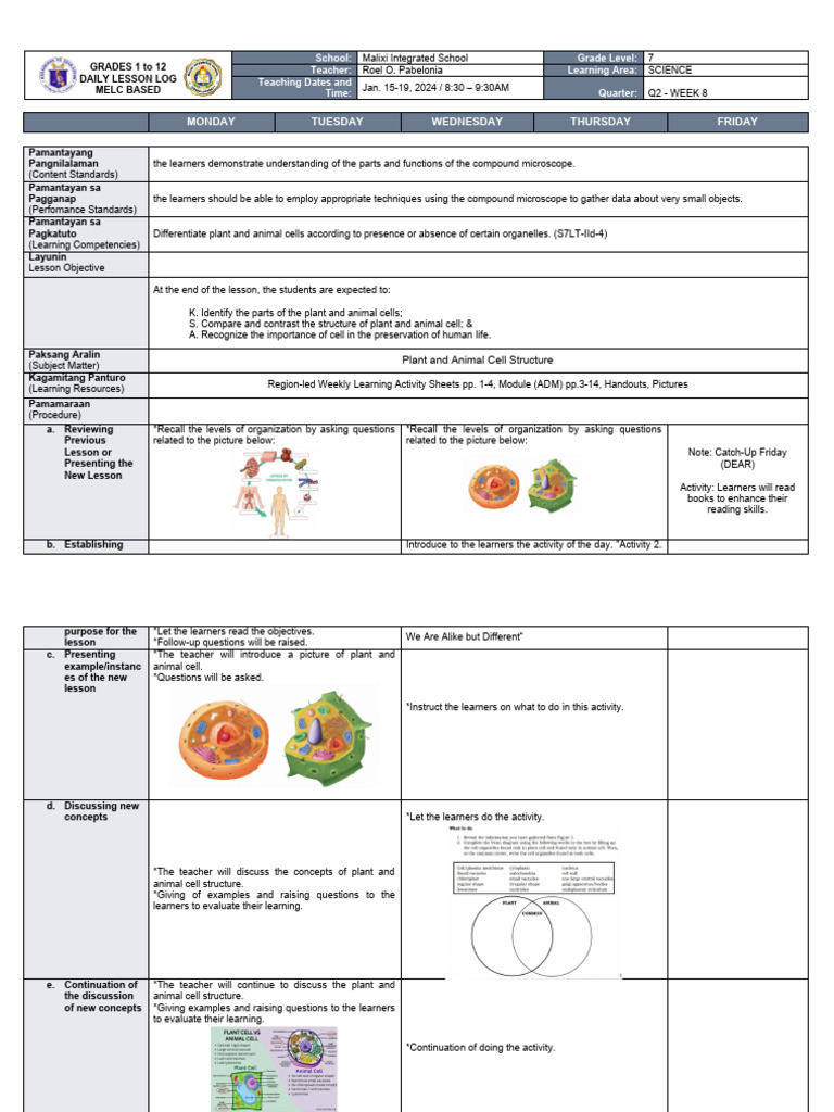 WEEK 8 - SCIENCE 7 - Copy From 5 | PDF