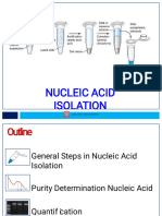 DNA Isolation