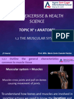 1.2 TheMuscularSystem