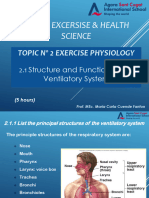 2.1 Strcuture and Function of Ventilatory System