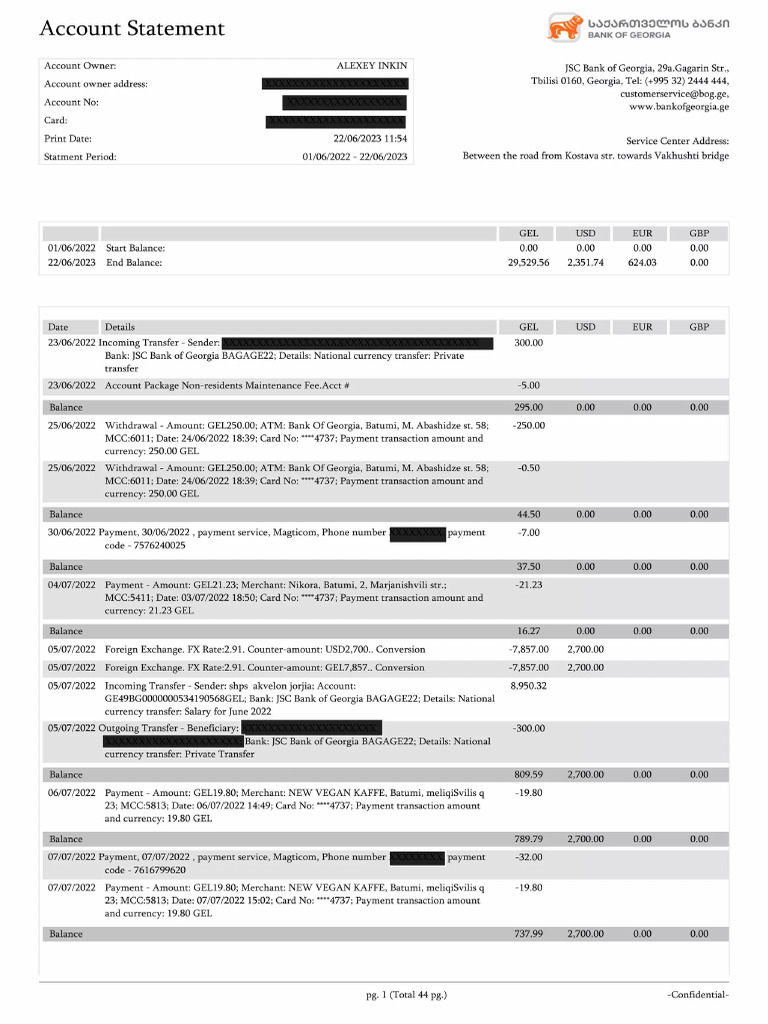 Bank of Georgia Statement | PDF