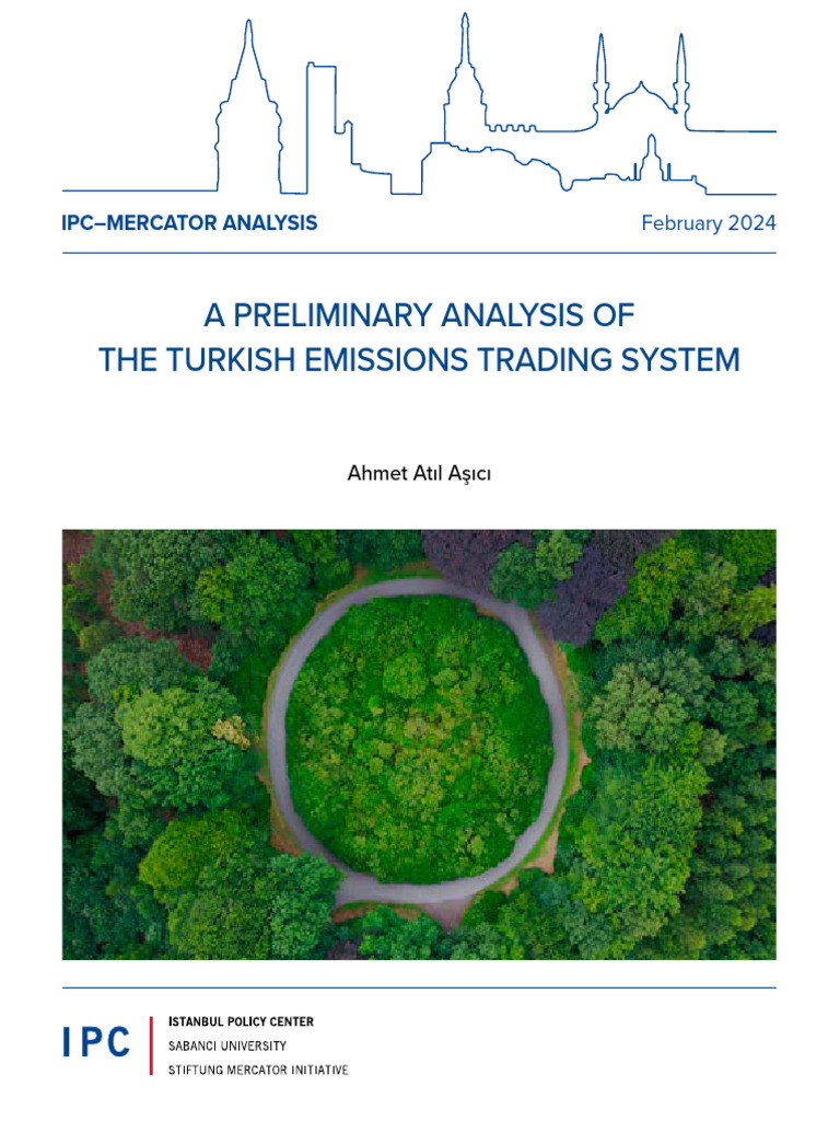 Preliminary Analysis Meaning