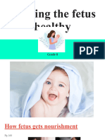 Keeping The Fetus Healthy