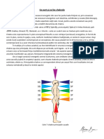 Chakre Si Corpuri Subtile
