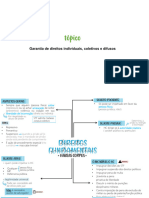 Mapa Eixo 2 - Direitos Fundamentaisss