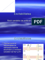 Neuronul Periferic 2