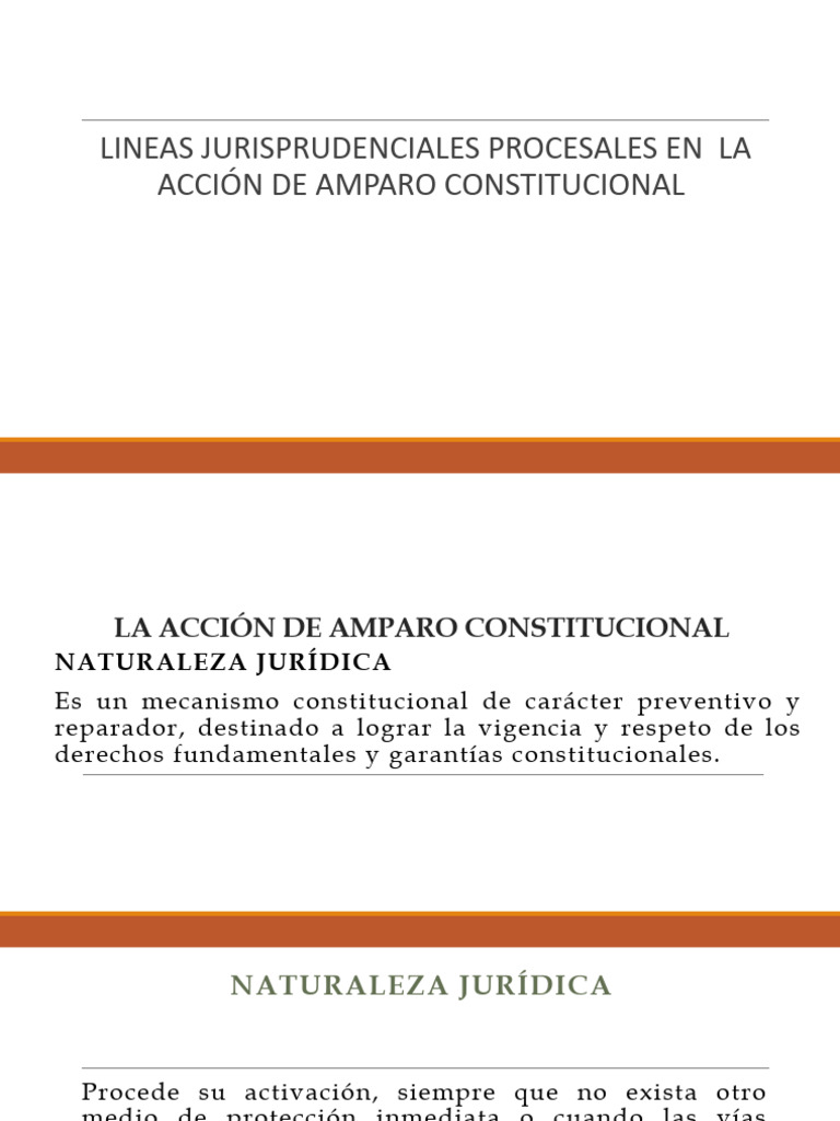 Jurisprudencia sobre Acción de Amparo | PDF | Derecho Constitucional ...