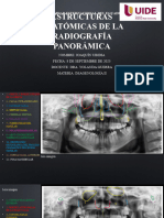 Estructuras Anatómicas de La Radiografía Panorámica Tarea