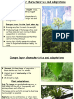 3.7 Rainforest Characterisics Information Sheets
