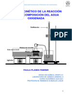 Memoria P7 Agua Oxigenada