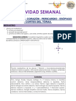 Actividad Semanal E4 - 2020