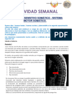 Actividad Semanal N5