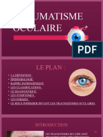 Eye-Anatomy-Minitheme - PPTX 20231225 143300 0000