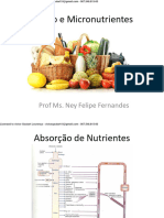 Macro e Micronutrientes