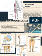 Anatomía y Fisiología