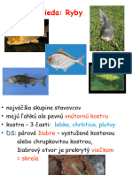 Ryby I.roč