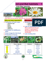 Bee, Bird and Bat Habitats