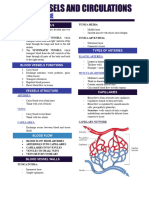 Blood Vessels and Circulations