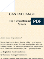 Gas Exchange Presentation Final
