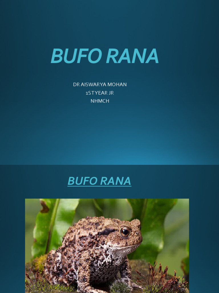 Bufo - Rana-Wps - Office (1) - Read-Only | PDF | Epilepsy | Nervous System
