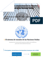 4 - Presentación Protección Convencional ONU