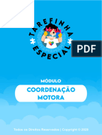 Coordenação Motora