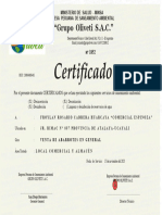 Certificado DE SANEAMIENTO - Modelo-ORIGINAL