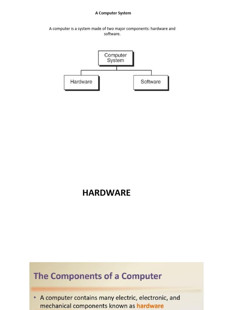 Basic Components of A Computer System | PDF