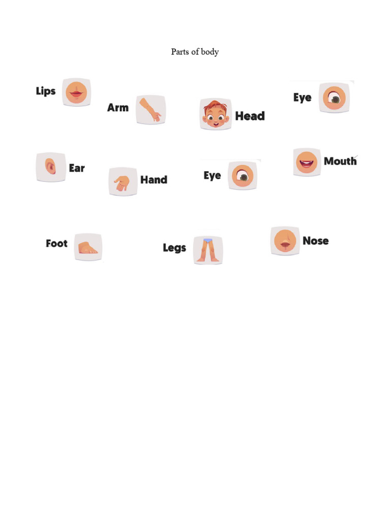 Parts of Body | PDF
