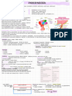 Sistema Endocrino