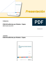 CQI-08 Auditoria Por Niveles - Capas Noviembre 2019 Presentacion