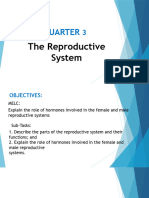 QUARTER 3 Reproductive System