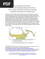 Chapter 2 Pre-History - Egypt