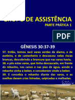 Grupo de Assistência - Slides